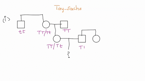 3-tay-sachs-is-a-recessive-lethal-disease-in-which-neurological-deterioration-occurs-early-in-life-this-disease-is-rare-in-the-population-overall-but-is-found-at-relatively-high-frequency-in-61853