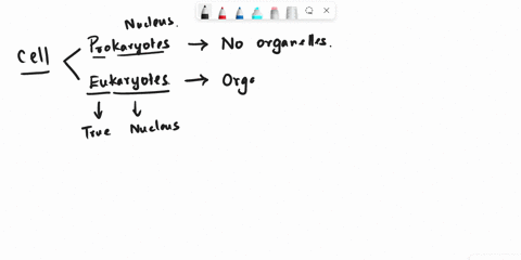 these-three-organelles-have-different-functions-vacuoles-store-lysosomes-store-digest-detoxifyand-peroxisomes-store-digest-detoxify-choose-what-the-peroxisomes-and-the-lysosomes-does-plz-01538