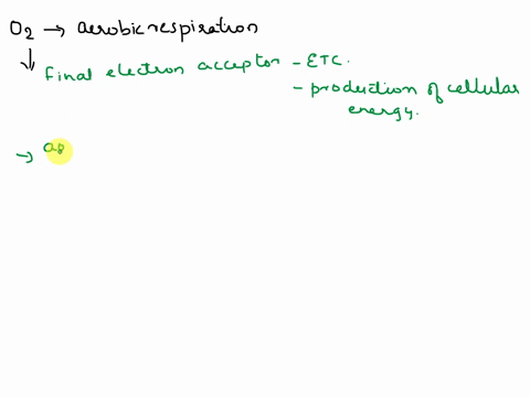 why-is-oxygen-important-in-aerobic-respiration-61575