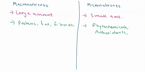 explain-each-of-the-following-concepts-in-detail-macronutrients-micronutrients-difference-between-macronutrients-and-micronutrients-simple-carbohydrates-complex-carbohydrates-difference-betw-50468