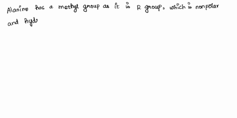 which-of-the-following-amino-acids-have-r-groups-that-are-hydrophobic-alanine-proline-and-serine-a-alanine-proline-and-serine-are-all-hydrophobic-b-only-alanine-and-proline-are-hydrophobic-c-58438