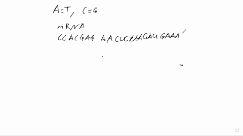 1-a-graduate-student-was-interested-in-how-an-alkylating-agent-would-affect-the-sole-guanine-in-the-sequence-of-gene-x-after-a-round-of-replication-the-sequence-of-gene-x-in-her-yeast-coloni-97362