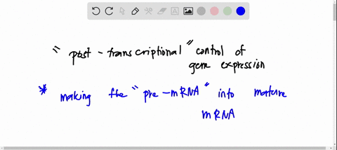 which-of-the-following-is-an-example-of-post-transcriptional-control-of-gene-expression-a-the-addition-of-methyl-groups-to-cytosine-bases-of-dna-b-the-binding-of-transcription-factors-to-a-p-98942
