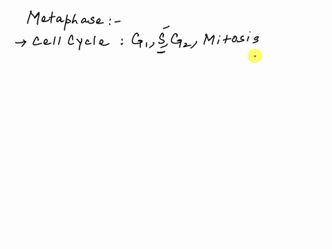 metaphase-is-not-characterized-bya-complete-condensation-of-chromosomes-b-alignment-of-chromosomes-on-equatorial-plate-c-attachment-of-spindle-fibres-to-kinetochore-d-splitting-of-centromere-93446