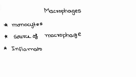 which-of-the-following-statements-are-correct-a-macrophages-are-granulocytes-b-macrophages-derive-from-monocytes-c-macrophages-are-non-phagocytic-d-macrophages-reside-in-the-tissues-e-all-of-08439