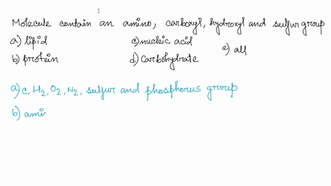 question-value-1-which-biological-molecule-contains-an-amino-carboxyl-hydroxyl-and-sulfhydryl-groups-lipids-b-proteins-nucelic-acids-carbohydrates-all-of-the-biological-molecules-listed-56789