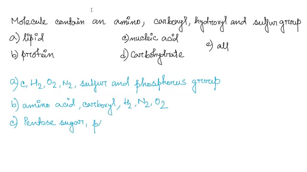 SOLVED Topic LA Biological Molecules Identify which groupof biological