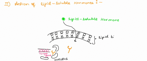 question-which-of-the-following-signaling-pathways-can-be-activated-by-cytokines-oa-jakistat-b-pi-3-kinase-rasmap-kinase-da-and-b-o-e-all-of-a-b-and-c-question-2-lipid-soluble-hormones-activ-59346