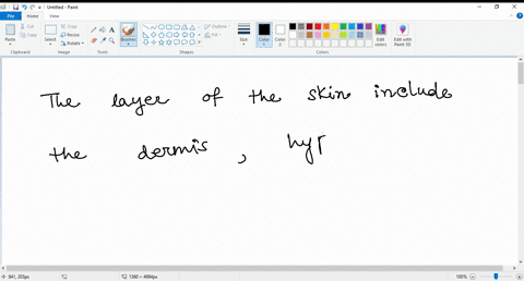 question-15-15-pts-the-layers-of-the-skin-include-the-dermis-endodermis-and-epidermis-exidermis-endodermis-hypodermis-dermis-hypodermis-and-epidermis-hyperdermis-dermis-and-epidermis-78086