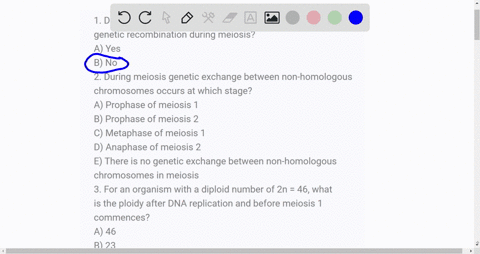 1-do-you-expect-the-x-chromosome-in-human-males-to-undergo-genetic-recombination-during-meiosis-a-yes-b-no-2-during-meiosis-genetic-exchange-between-non-homologous-chromosomes-occurs-at-whic-78855