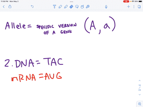 1-an-allele-is-a-a-trait-that-can-be-affected-by-the-external-environment-always-codominant-to-its-counterpart-on-the-other-chromosome-a-result-of-a-change-to-phenotype-a-specific-version-of-69371