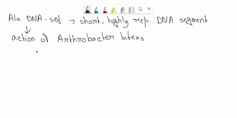 q-1-the-alu-dna-sequence-in-primates-is-what-type-of-genomic-element-a-transposase-b-homologous-gene-c-retrotransposon-d-dna-transposon-q-2-repetitive-sequences-are-a-segments-of-dna-that-ar-22492