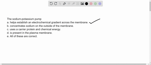 the-sodium-potassium-pump-a-helps-establish-an-electrochemical-gradient-across-the-membrane-b-concen-25214