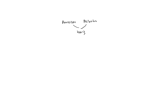 in-the-unlikely-event-that-amazon-and-alibaba-chinas-leading-e-commerce-platform-decided-to-become-one-company-this-would-be-an-example-of-an-_______-hostile-takeover-vertical-merger-horizon-95813