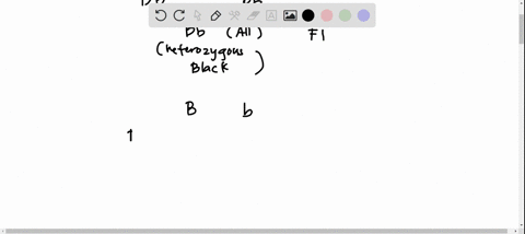 in-guinea-pigs-a-single-gene-with-two-alleles-b-and-b-determines-coat-color-black-b-is-dominant-over-white-b-guinea-pig-from-a-true-breeding-black-strain-is-mated-with-a-guinea-pig-from-a-tr-84642