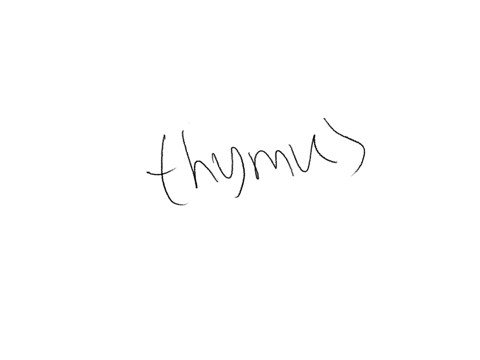 which-organ-is-the-site-of-maturation-of-t-lymphocytes-spleen-thyroid-thymus-lymph-node
