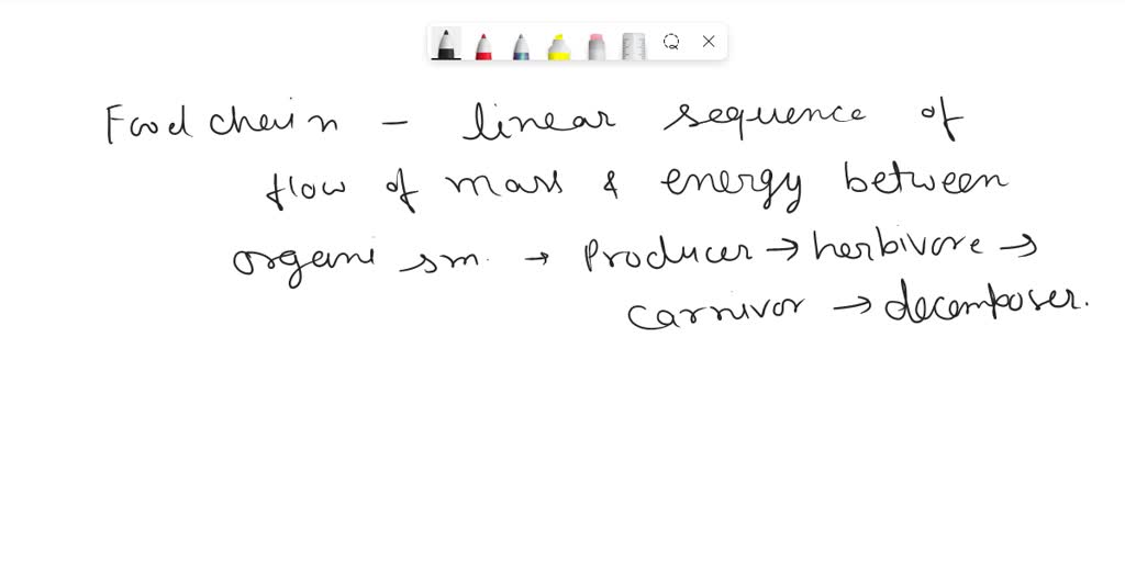 solved-describe-the-difference-between-a-food-chain-and-a-food-web