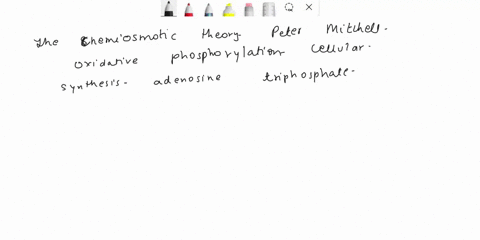 in-investigating-the-mechanism-of-oxidative-phosphorylation-chemical-compounds-known-uncouplers-and-inhibitors-were-used-verify-peter-mitchell-s-chemiosmotic-theory-what-is-the-chemiosmotic-67914