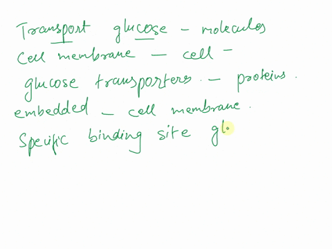 which-molecule-found-in-the-cell-membrane-is-used-to-transport-glucose-into-the-cell-98527