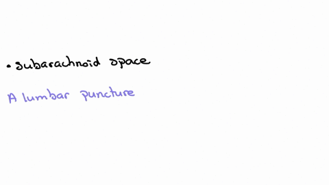 34-multiple-choice-2-points-a-lumbar-puncture-takes-a-sample-of-cerebrospinal-fluid-csf-from-the-intervertebral-foramen-central-canal-of-the-spinal-cord-epidural-space-subdural-space-subarachnoid-spac