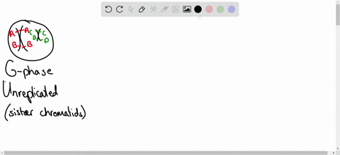 1-a-draw-an-unreplicated-chromosome-with-a-centromere-on-the-left-and-gene-a-on-the-right-then-draw-its-homolog-with-allele-a-b-on-the-left-side-of-the-page-draw-the-same-chromosomes-after-r-67685