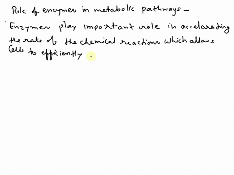 describe-the-role-of-enzymes-in-metabolic-pathways-95153