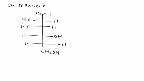 draw-the-haworth-projection-for-the-cyclic-structure-of-d-mannose-by-laying-down-the-fischer-project-65772