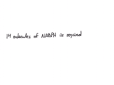 how-many-molecules-of-nadph-are-needed-to-synthesize-palmitic-acid-c1s-hs1-cooh-express-your-answer-a8-an-integer-azd-molecules-0t-nadph-submit-prevlous-answere-beque-l-anawer-17741