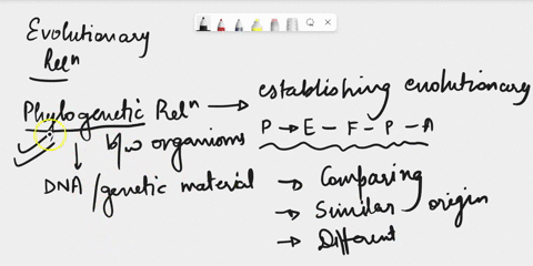 label-the-diagram-with-the-steps-involved-in-determining-evolutionary-relatedness_-cells-from-organism-sequence-dna-dna-compare-dna-sequences-ssu-rna-genes-atgctcaagtca-repoai-process-for-ot-79614
