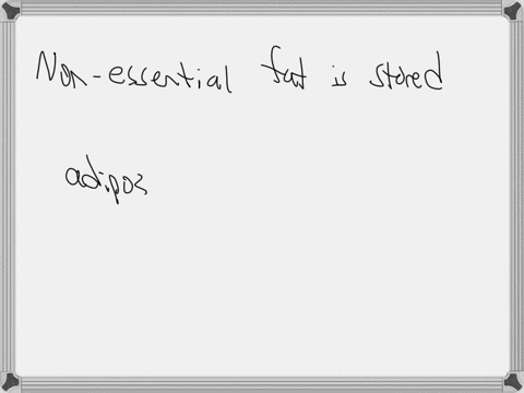question-10-non-essential-fat-is-primarily-stored-inadipose-tissue-or-fat-cells-located-on-the-surface-of-the-body-and-surrounding-the-bodys-organs-true-false