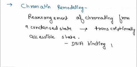 what-are-two-changes-that-occur-in-the-process-of-chromatin-remodeling-36378