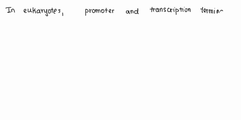 questkon4-10-mettl-part-ram-he-emnplale-eland-jdna-moleculethal-todes-iar-the-5-end-ol-an-mrna-has-the-following-sequence-letters-in-bplpiare-exons-italized-letters-are-introns-b-atattat-ttt-51432