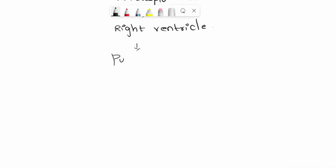 put-in-order-rearrange-these-structures-in-the-order-in-which-blood-passes-through-them-assume-that-the-blood-is-about-to-leave-the-right-atrium-1-14-aorta-aortic-semilunar-valve-left-ventri-85374