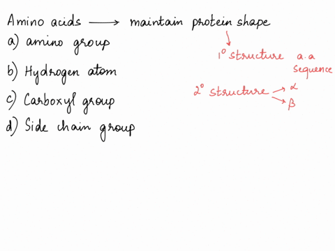 which-parts-of-the-amino-acid-interact-with-each-other-to-maintain-the-proteins-shape-group-of-answer-choices-the-amino-group-the-hydrogen-atom-the-carboxyl-group-side-chainsgroups-27024