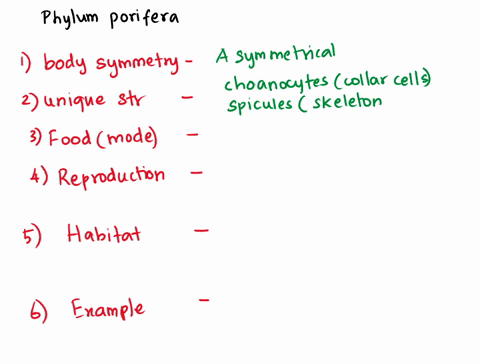 kingdom-animalia-animal-presentations-phylum-porifera-what-kind-of-body-symmetry-do-they-have-asymmearicai-what-are-the-unique-structures-why-an-they-in-this-phylum-and-not-another-how-do-th-42212