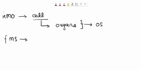 explain-five-5-functions-of-the-muscular-system-b-state-the-three-3-body-types-c-state-the-four-4-s-essential-for-creating-an-inclusive-learning-environment-d-state-the-two-2-types-of-balanc-82533