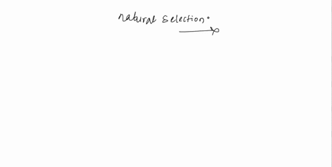 in-natural-selection-the-traits-of-individuals-become-more-common-when-select-one-a-they-have-more-mutations_-b_-they-produce-more-offspring-they-dont-get-to-choose-who-they-breed-with-d_-th-03626