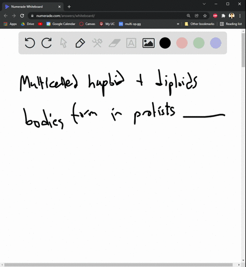 multicelled-haploid-and-diploid-bodies-form-in-protists-that-have-an-___________-a-haploid-dominant-48609
