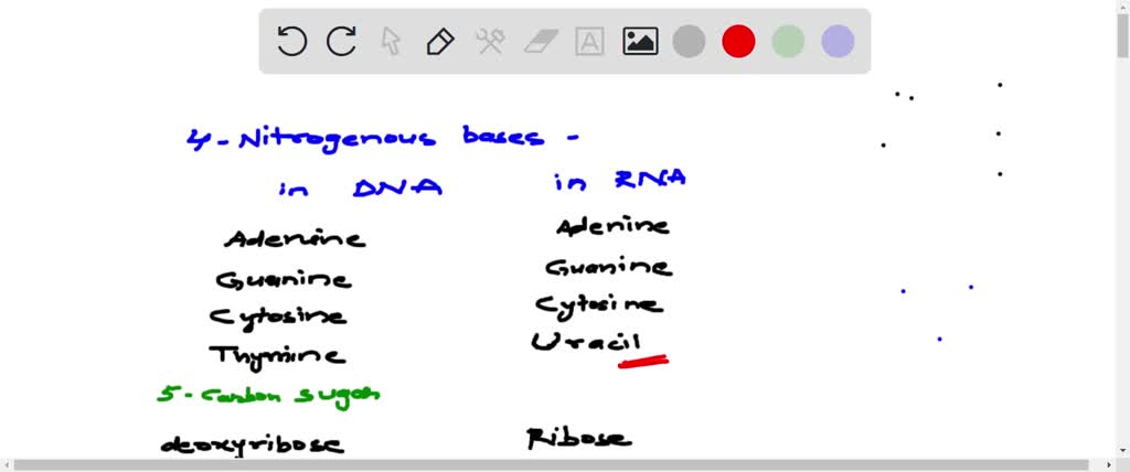 SOLVED: Like DNA, RNA contains four nitrogenous bases. Three of them ...