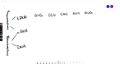 if-the-trna-anticodon-reads-aug-ccu-cac-auc-alg-ntch-ofthe-folowing-was-the-original-dna-template-strand-cau-aag-aga-ugagac-atg-cci-atc-ato-cac-atg-cct-cac-aic-atg-utg-ccu-aca-gcuuac-54616