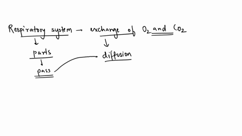 list-the-respiratory-system-structures-that-a-molecule-of-co2-would-pass-through-as-it-is-being-exhaled-29578
