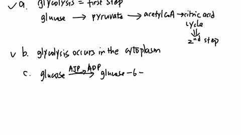 which-of-the-following-statements-is-not-true-a-glycolysis-is-an-essential-process-because-it-prepares-glucose-for-the-second-step-in-catabolism-namely-the-citric-acid-cycle-b-glycolysis-occurs-in-the