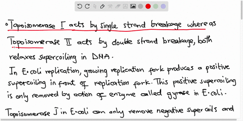 why-arent-type-i-topoisomerases-necessary-in-e-coli-dna-replication-10422