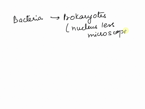 the-majority-of-life-on-earth-are-select-one-a-prokaryotes-b-eukaryotes-c-mammals-d-insects-e-parasites-03705