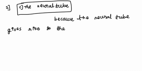 i-need-answer-and-letter-please-dont-go-in-depth-i-just-need-answers-1a-complete-absence-of-the-brain-may-result-from-the-malformation-of-which-of-the-following-athe-telencephalon-bthe-mesen-03017