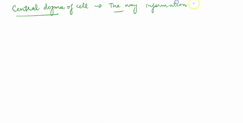 according-to-the-central-dogma-which-of-the-following-represents-the-flow-of-genetic-information-in-42278