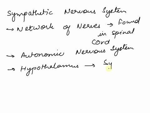 the-sympathetic-nervous-system-is-a-component-of-the-a-peripheral-nervous-system-b-parasympathetic-n-65057