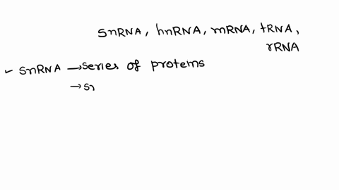 state-whether-each-of-the-following-phrases-belongs-to-hnrna-mrna-trna-rrna-or-snrna-associated-with-a-series-of-proteins-in-a-complex-structure-contains-genetic-information-needed-for-prote-98092