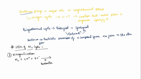 describe-in-detail-the-different-roles-of-microorganisms-played-in-various-biogeochemical-cycles-92694