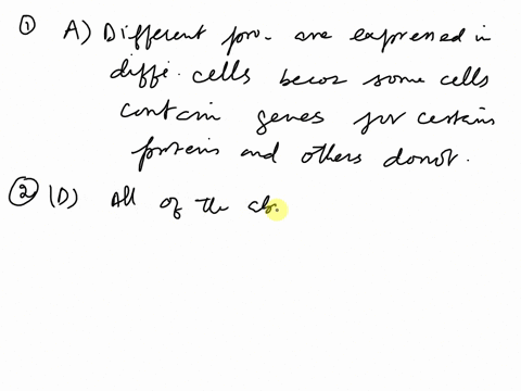 which-one-of-the-following-statements-is-incorrect-about-the-location-and-function-of-genes-in-higher-eukaryotes-eg-human-beings-question-13-options-different-proteins-are-expressed-in-diffe-74788